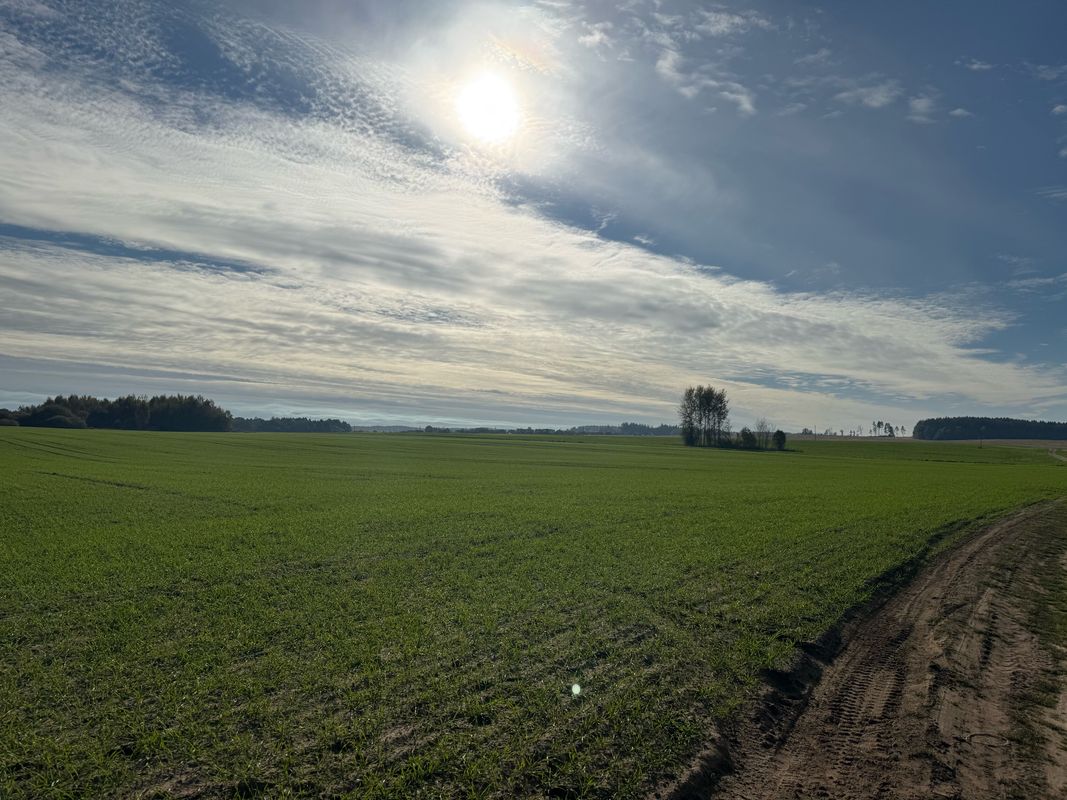 Островец-Гудогай-Вавераны-Лозовка-Груздовщина-Слободка-Островец