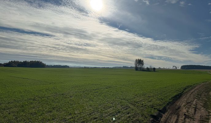 Foto 2 de la ruta de Bikemap "Островец-Гудогай-Вавераны-Лозовка-Груздовщина-Слободка-Островец"