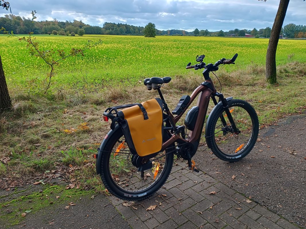 Langenhorn nach Dammbeck