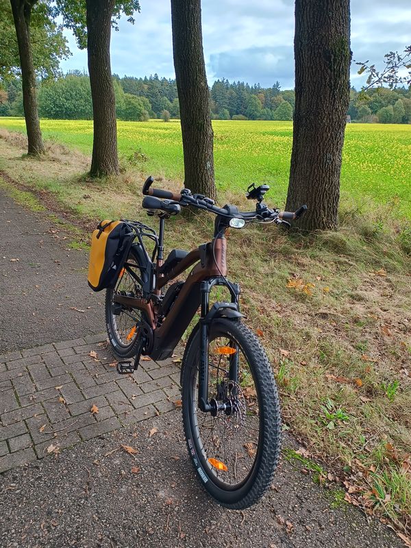 Langenhorn nach Dammbeck