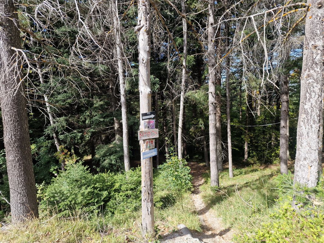 Bikepark Frontignano ๐โฐ๏ธ๐