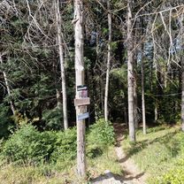 Bikepark Frontignano 🏞⛰️🏔