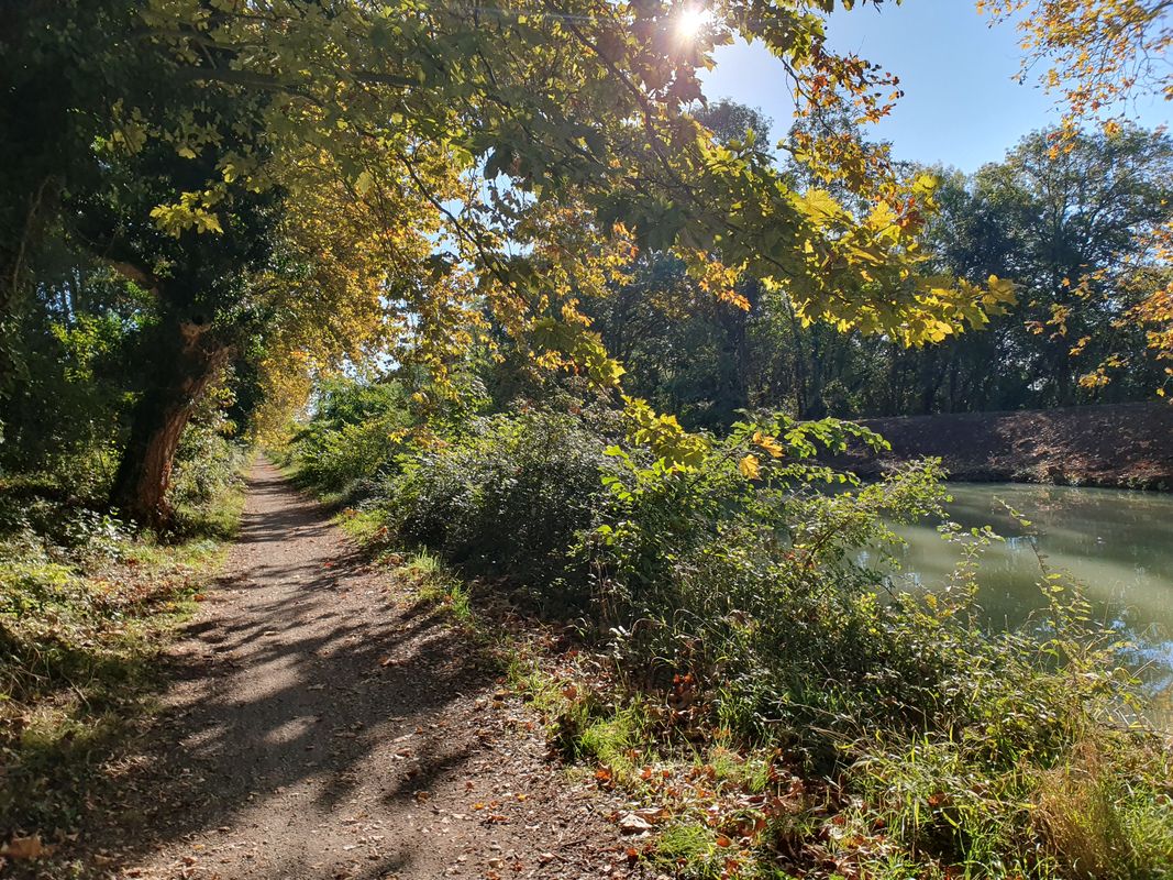 11.10.25 Castelnaudary Bram Carcassonne