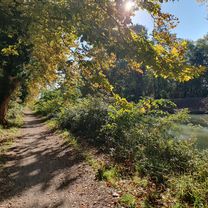 11.10.25 Castelnaudary Bram Carcassonne