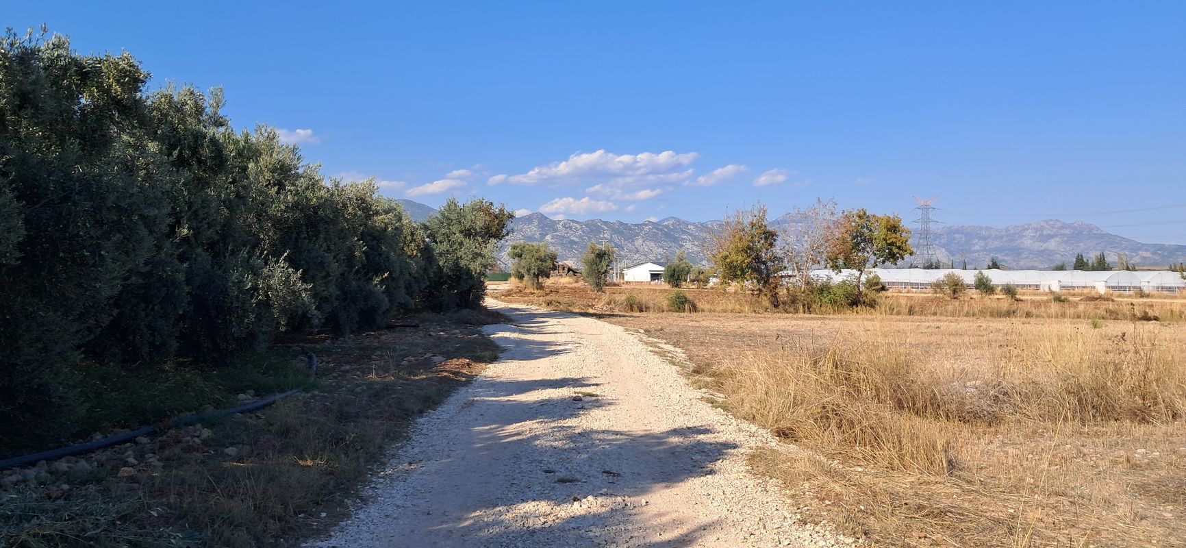 D650 Akdeniz Blv-15 to Bıyıklı Köyü Yolu