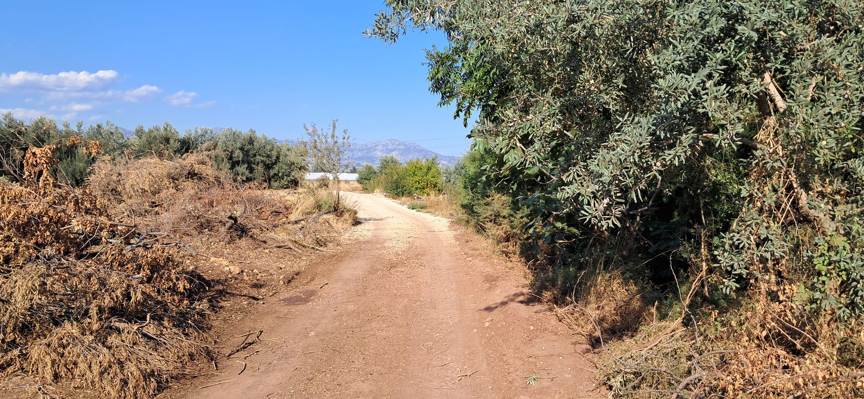 D650 Akdeniz Blv-15 to Bıyıklı Köyü Yolu