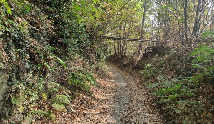 Photo 2 de l’itinéraire Bikemap « Piscina Talucco »