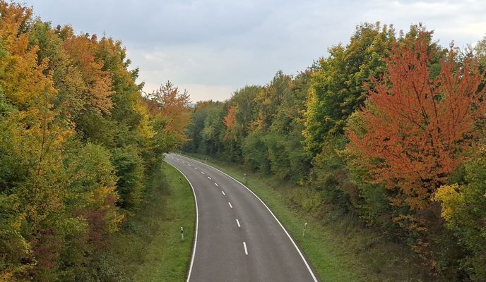 Photo 2 of the Bikemap route "Herbsttour Petersberg um Gau Odernheim"