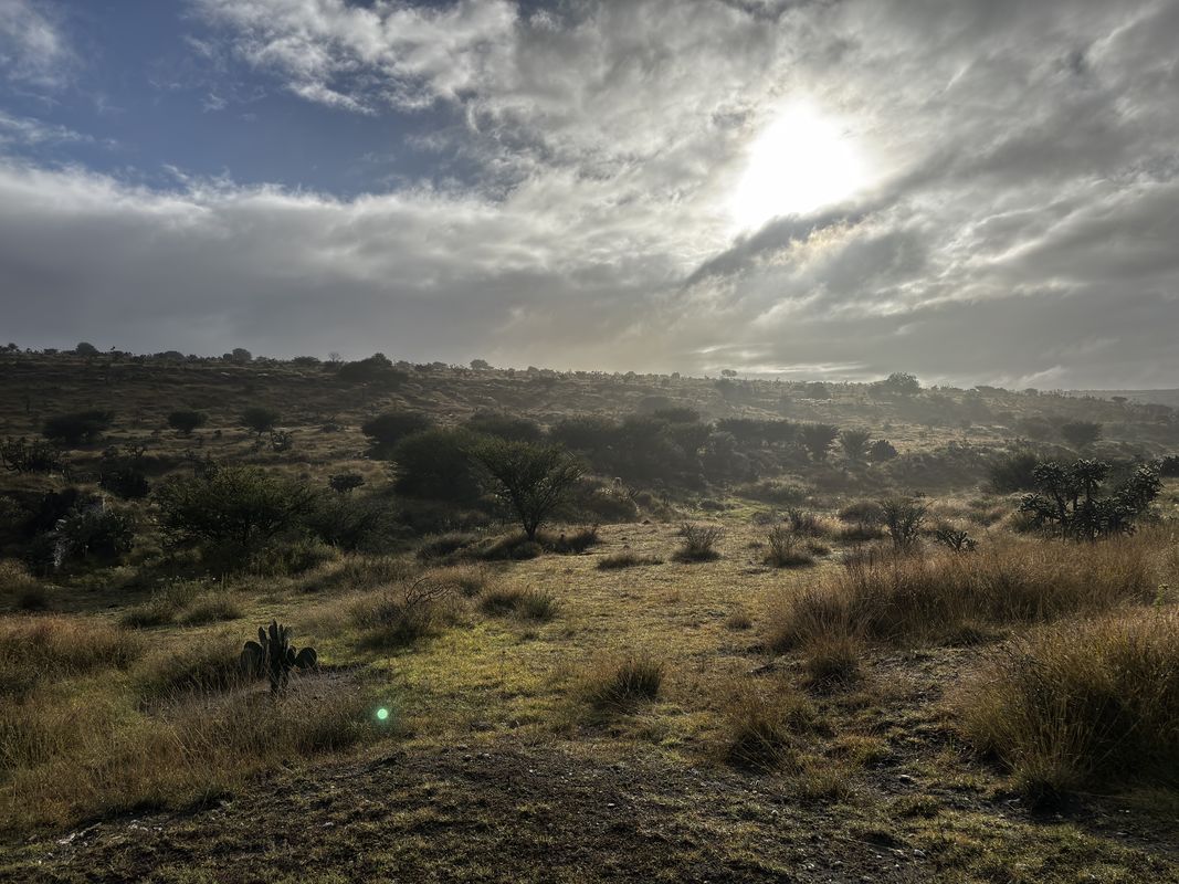 1a. Cerrada 5 de Mayo, Hueypoxtla a 1a. Cerrada 5 de Mayo, Hueypoxtla