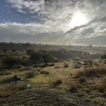 1a. Cerrada 5 de Mayo, Hueypoxtla a 1a. Cerrada 5 de Mayo, Hueypoxtla