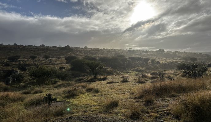 Foto 1 de la ruta de Bikemap "1a. Cerrada 5 de Mayo, Hueypoxtla a 1a. Cerrada 5 de Mayo, Hueypoxtla"
