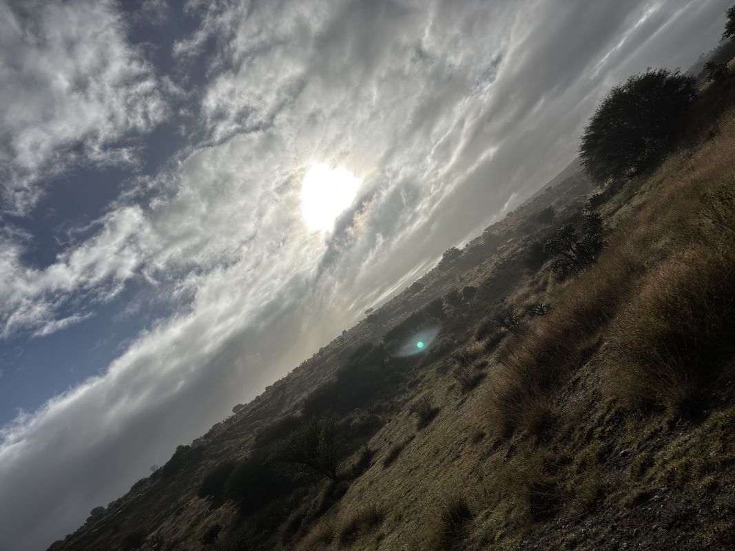 1a. Cerrada 5 de Mayo, Hueypoxtla a 1a. Cerrada 5 de Mayo, Hueypoxtla