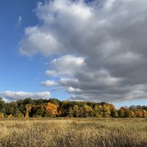 Zdjęcie 7 trasy Bikemap „Bornhagenweg, Berlin do Bornhagenweg, Berlin” Zdjęcie 7 trasy Bikemap „Bornhagenweg, Berlin do Bornhagenweg, Berlin”