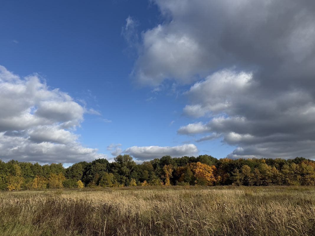 Bornhagenweg, Berlin do Bornhagenweg, Berlin