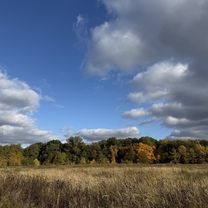 Bornhagenweg, Berlin do Bornhagenweg, Berlin
