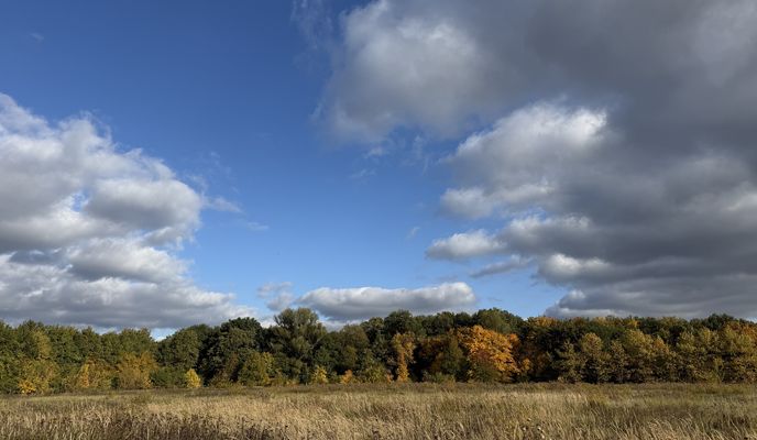 Zdjęcie 1 trasy Bikemap „Bornhagenweg, Berlin do Bornhagenweg, Berlin” Zdjęcie 1 trasy Bikemap „Bornhagenweg, Berlin do Bornhagenweg, Berlin”