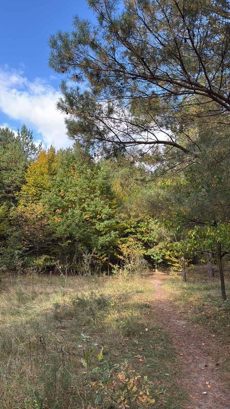 Bornhagenweg, Berlin do Bornhagenweg, Berlin