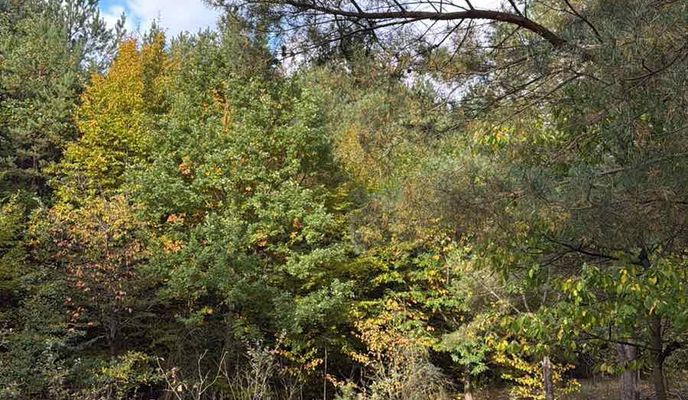 Zdjęcie 2 trasy Bikemap „Bornhagenweg, Berlin do Bornhagenweg, Berlin” Zdjęcie 2 trasy Bikemap „Bornhagenweg, Berlin do Bornhagenweg, Berlin”