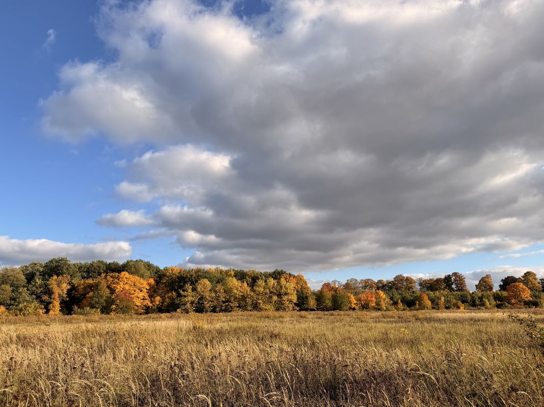 Bornhagenweg, Berlin do Bornhagenweg, Berlin
