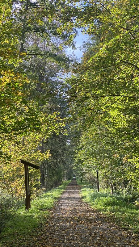 Neuroder Straße, Waldbronn nach Neuroder Straße, Waldbronn