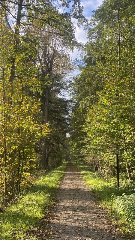Neuroder Straße, Waldbronn nach Neuroder Straße, Waldbronn