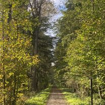 Neuroder Straße, Waldbronn nach Neuroder Straße, Waldbronn