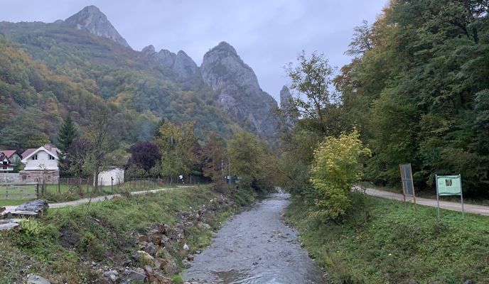 Foto 2 de la ruta de Bikemap "DJ750C, Râmeți  Cotorăști Vf Plesii Valea Uzei Cheile Mănăstiri"
