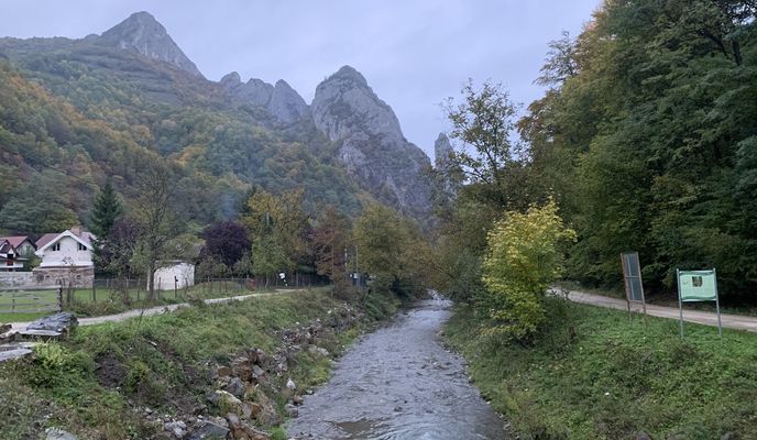 Foto 1 de la ruta de Bikemap "DJ750C, Râmeți  Cotorăști Vf Plesii Valea Uzei Cheile Mănăstiri"
