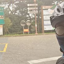 Ph0]에서 경로충효동