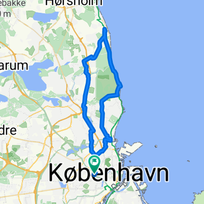 Dyrhavn from home with Lena!