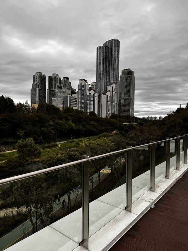 신천동, 서울특별시에서 신천동, 서울특별시까지