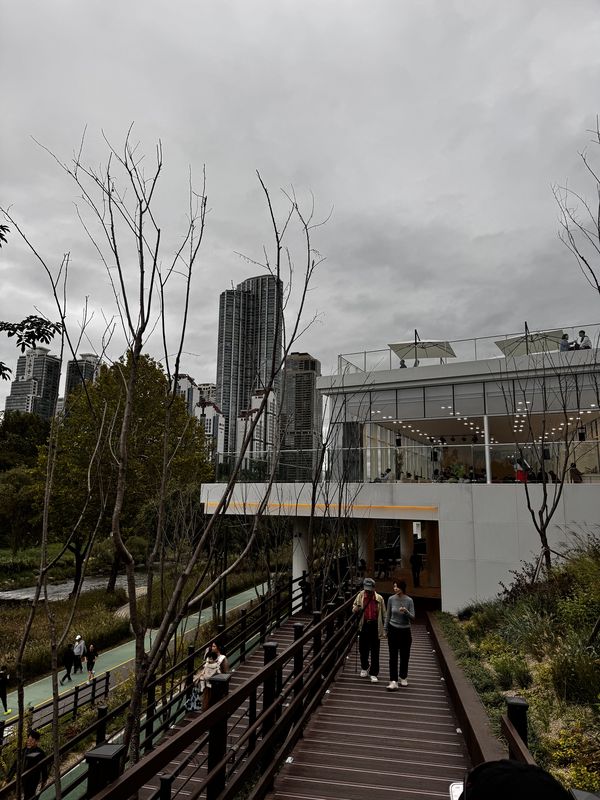 신천동, 서울특별시에서 신천동, 서울특별시까지