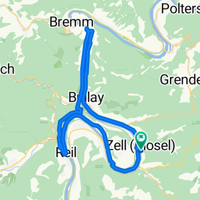 Weinkultur-Radrundfahrtüber Neef und Reil