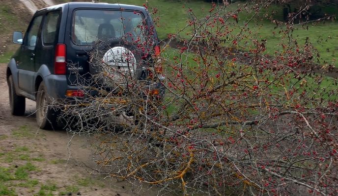 Photo 1 of the Bikemap route "Poiana Rotundă"