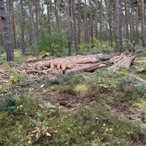 Lindenstraße, Haldensleben nach Lindenstraße, Haldensleben