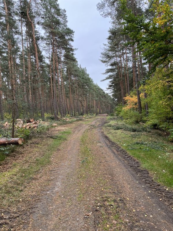 Lindenstraße, Haldensleben nach Lindenstraße, Haldensleben