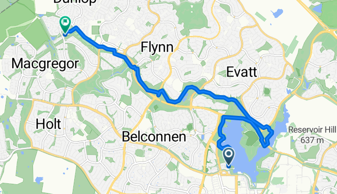 Stellas to Home