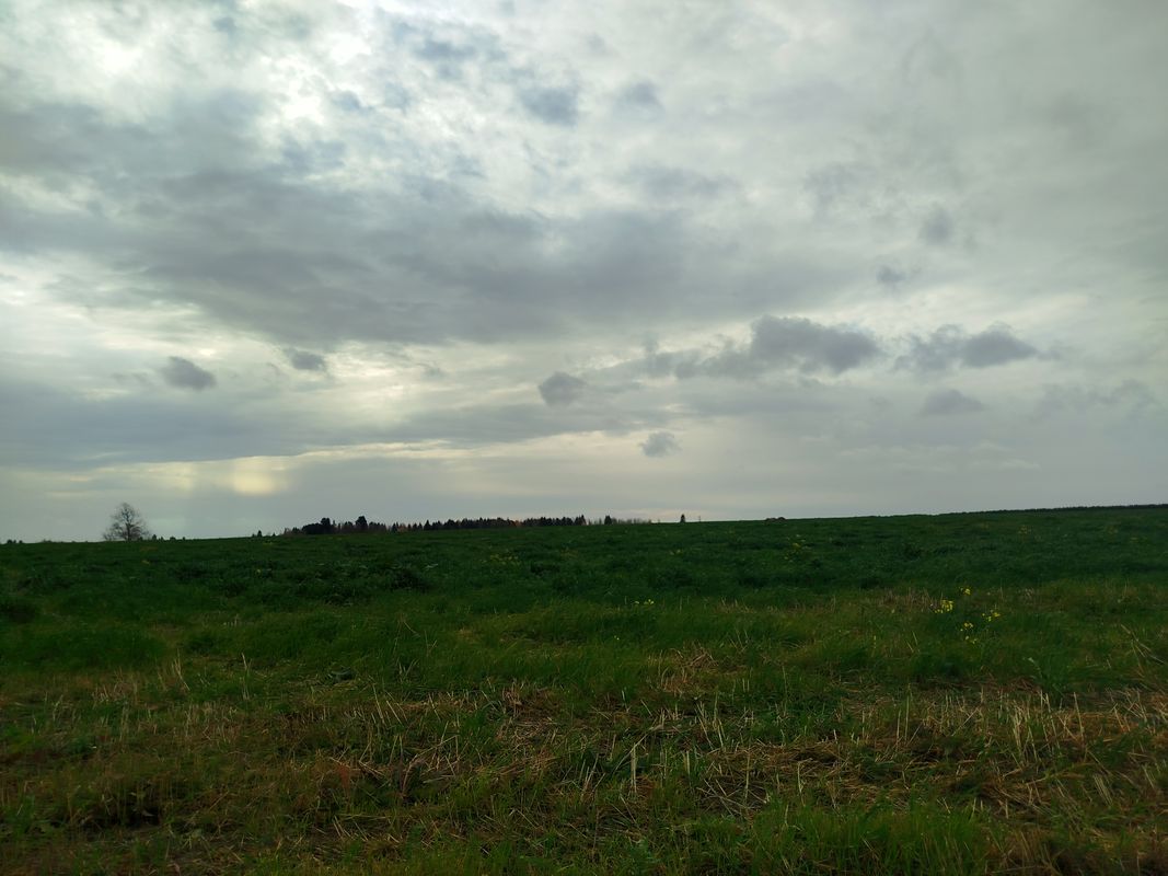 Легкая езда