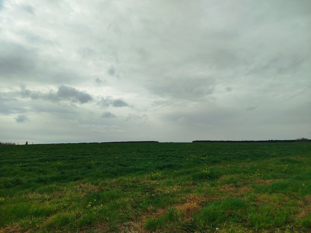 Легкая езда