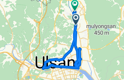 상안동, 울산광역시에서 호계로, 울산광역시까지