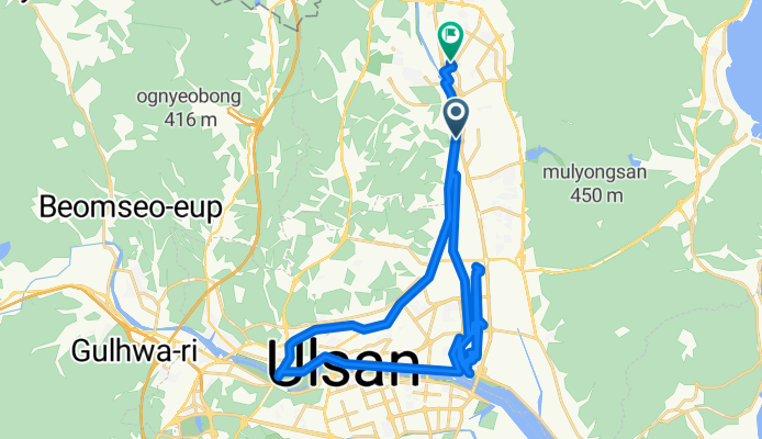 상안동, 울산광역시에서 호계로, 울산광역시까지