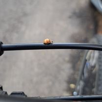 Route to Strada Petre Ţuţea 9-11