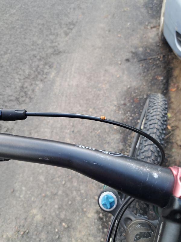 Route to Strada Petre Ţuţea 9-11