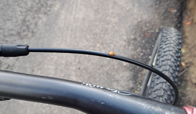 Foto 2 der Bikemap-Route "Route to Strada Petre Ţuţea 9-11"