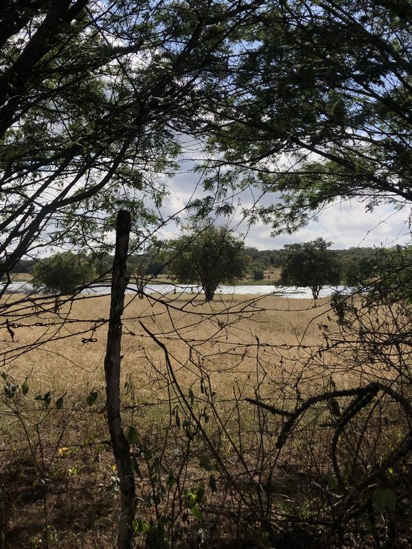 rota domingo dia das crianças