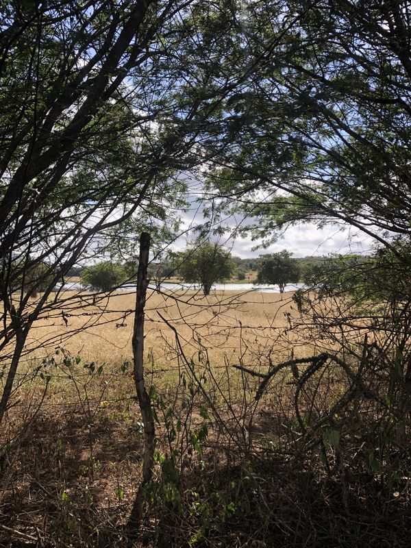 rota domingo dia das crianças