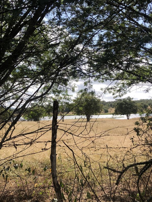 rota domingo dia das crianças