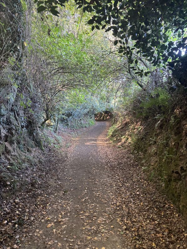 Lugar Hospital, Mesía nach Rúa Camiño Real, Oroso