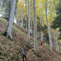 Podljubelj - Korošica - Podljubelj