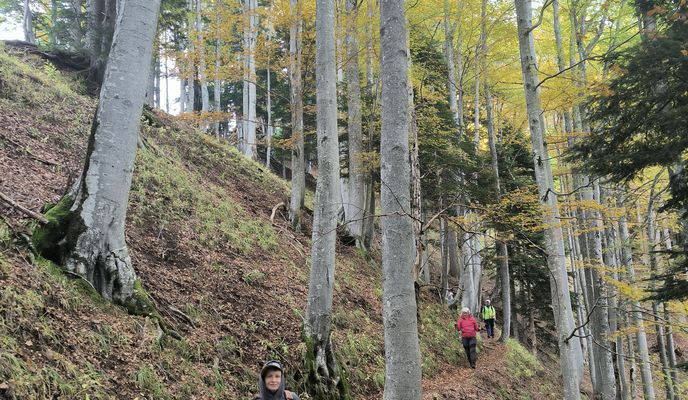 Photo 1 of the Bikemap route "Podljubelj - Korošica - Podljubelj"